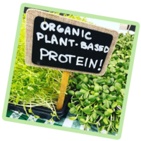 Chicago Indoor Garden - organic-plant-based-protein