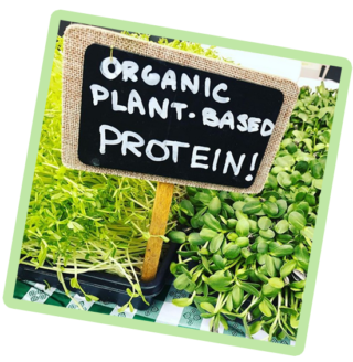 Chicago Indoor Garden - organic-plant-based-protein