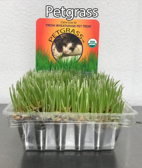 Petgrass Example